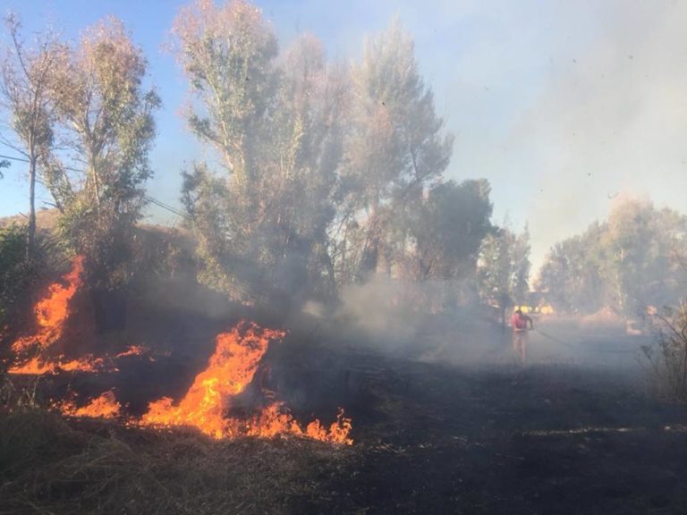 Durango, incendios forestales