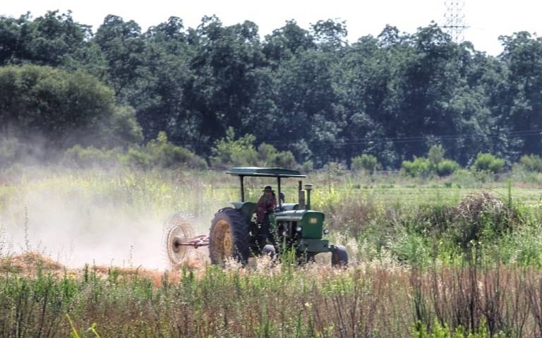 Campo duranguense